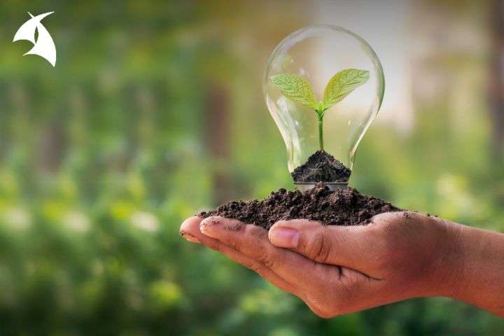 Curso Gestión ambiental y manejo del SUIA